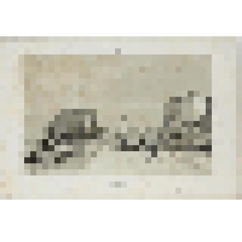 Литография. "Казань. Проезд между мельницами и Казанкой."