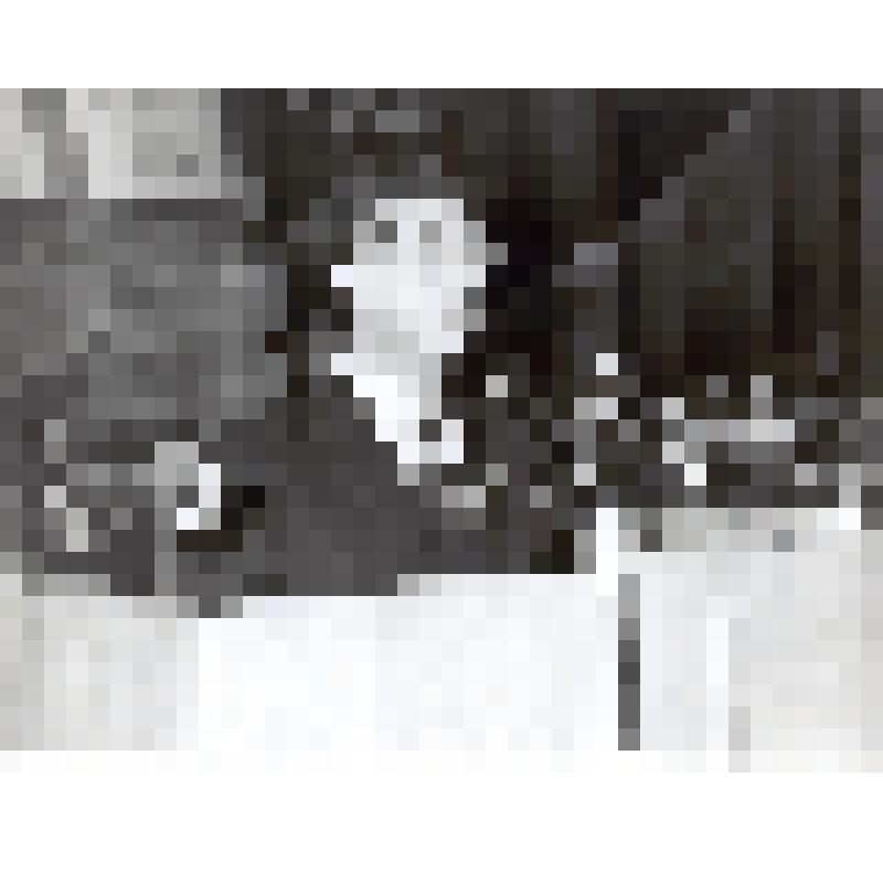 Фото. Друг Ю.А.Гагарина, зав.кафедрой истории МАИ, доктор исторических наук, профессор, академик В.С.Порохня во время выступления на Гагаринских чтениях