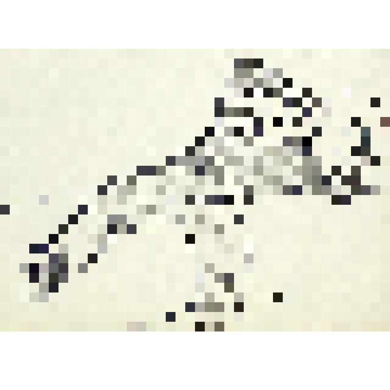 Спящий. Из папки с набросками "Архангельск 1962."