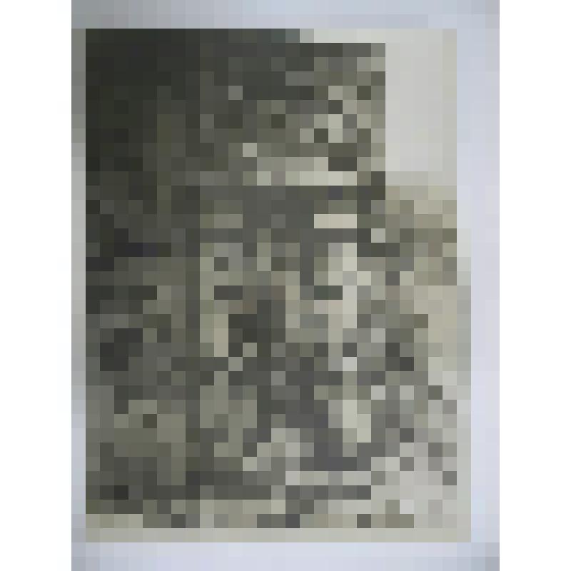 Троицкая надвратная церковь. Саввино-Сторожевский монастырь. 1650 г. Московская  обл., г. Звенигород. Саввин-Сторожевский монастырь. Троицкая надвратная церковь, 1650 г. Фрагмент декора лестницы главного входа