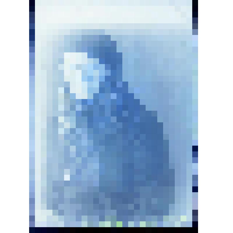 Негатив. Портрет поясной женщины в горжетке и шляпе