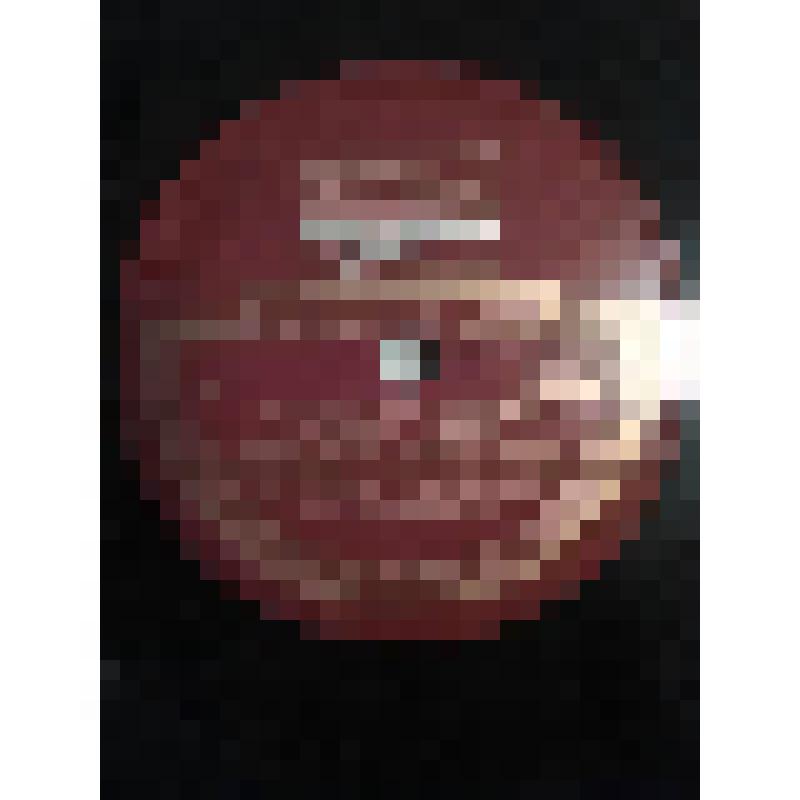 Грампластинка. Сцена у собора из трагедии А. Толстого "Царь Федор Иоаннович" (продолжение 4 и окончание). Исполняют: И. Москвин, О. Книппер-Чехова, А. Степанова, В. Ершов и артисты МХАТ СССР, вокальный ансамбль МХАТ СССР п/у Б. Изралевского. "Царь Федор И