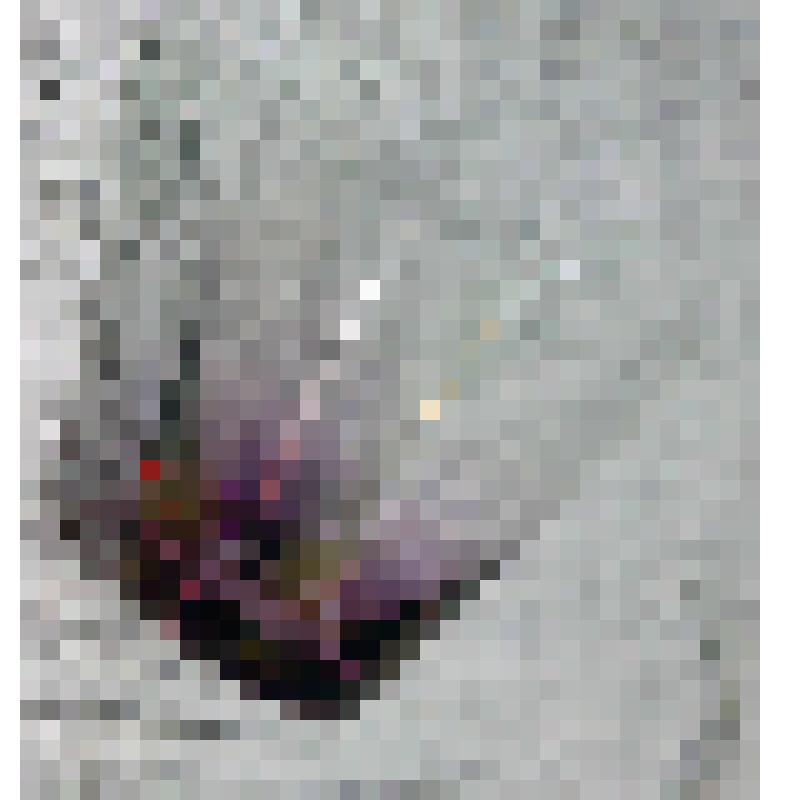 Стопка прозрачного дымчато-сиреневого стекла для крепких спиртных напитков. Из набора, из коллекции документальных, фотографических и вещевых материалов о Миловидовой Инне Борисовне (1929-2009), кандидате биологических наук, преподавателе биофака Саратовс