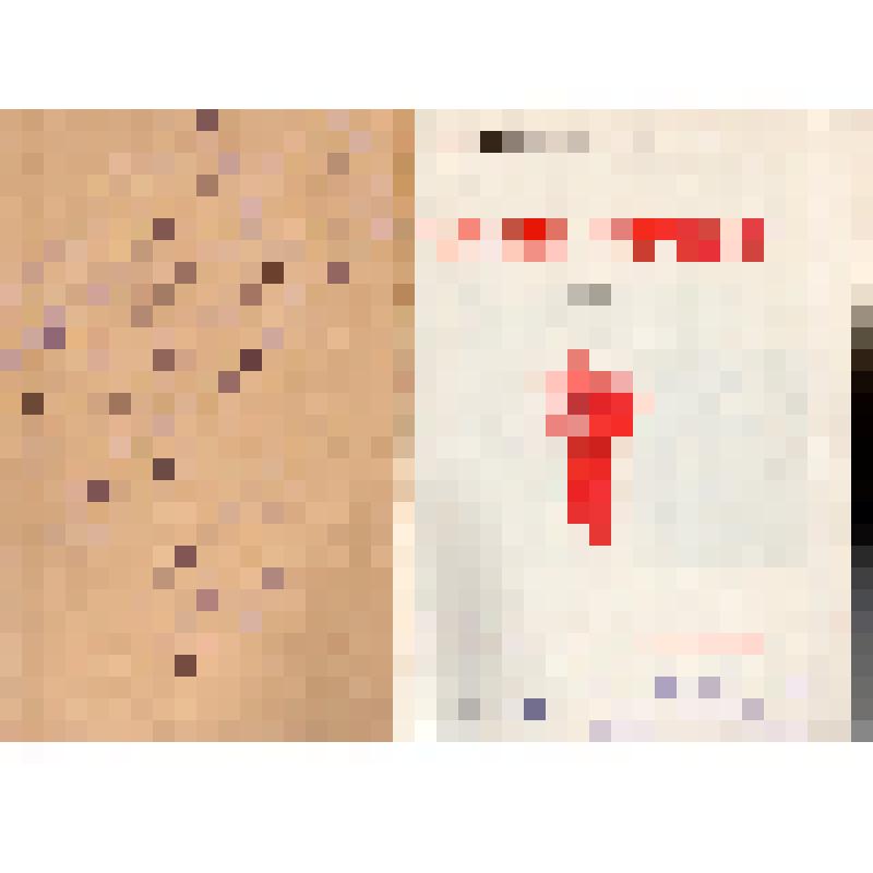 Книга. В.И.Демьяненко «Сыны полков» (на укр. яз.).
СССР, Киев, изд-во ЦК ЛКСМУ «Молодь», 1978 г., 141 с