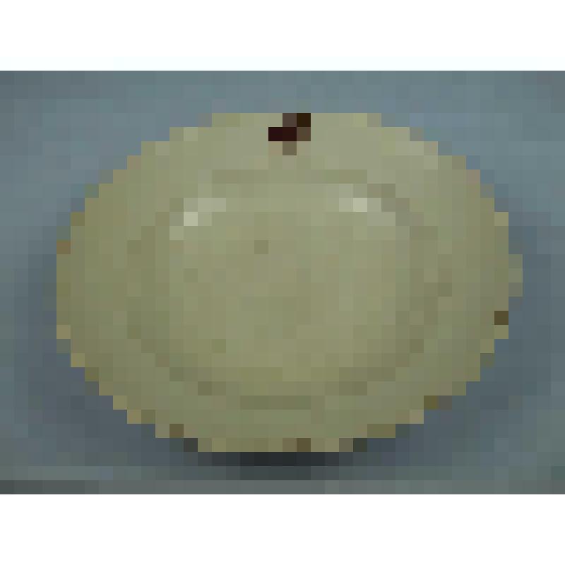 Тарелка столовая