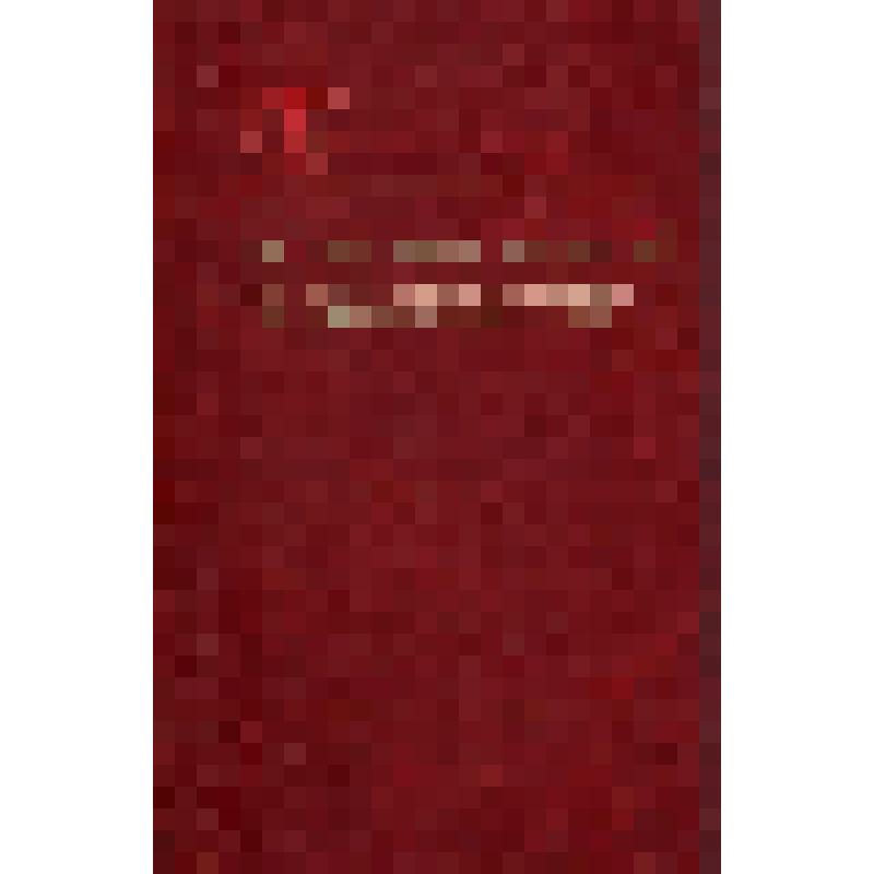 Книга. Н.Г. Чернышевский и его наследие