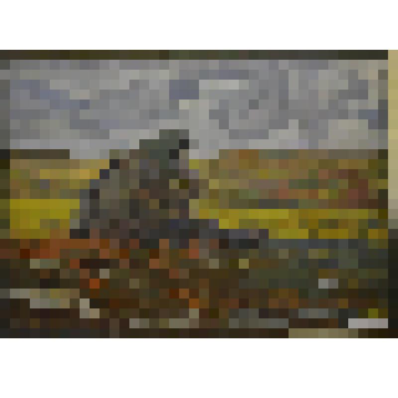 «Максим табак турдык» («В тундре»). Картина