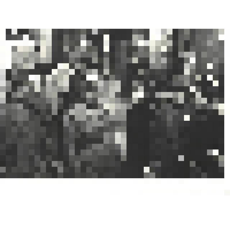 Фотографии. Фото ч/б. Первый день мира в Берлине, май 1945 г