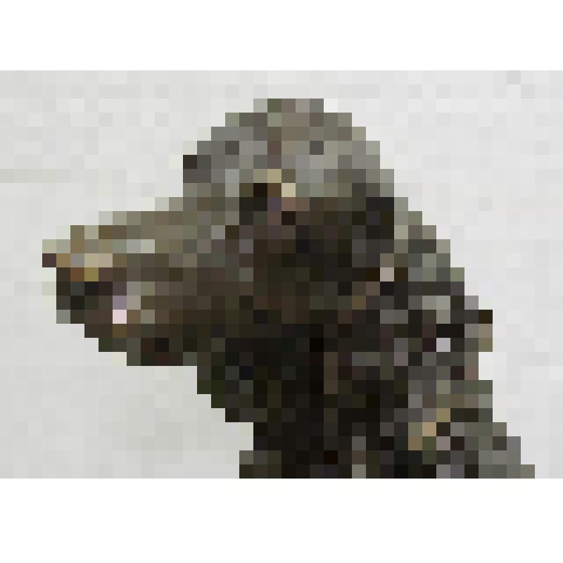 Собака спаниель. Скульптура