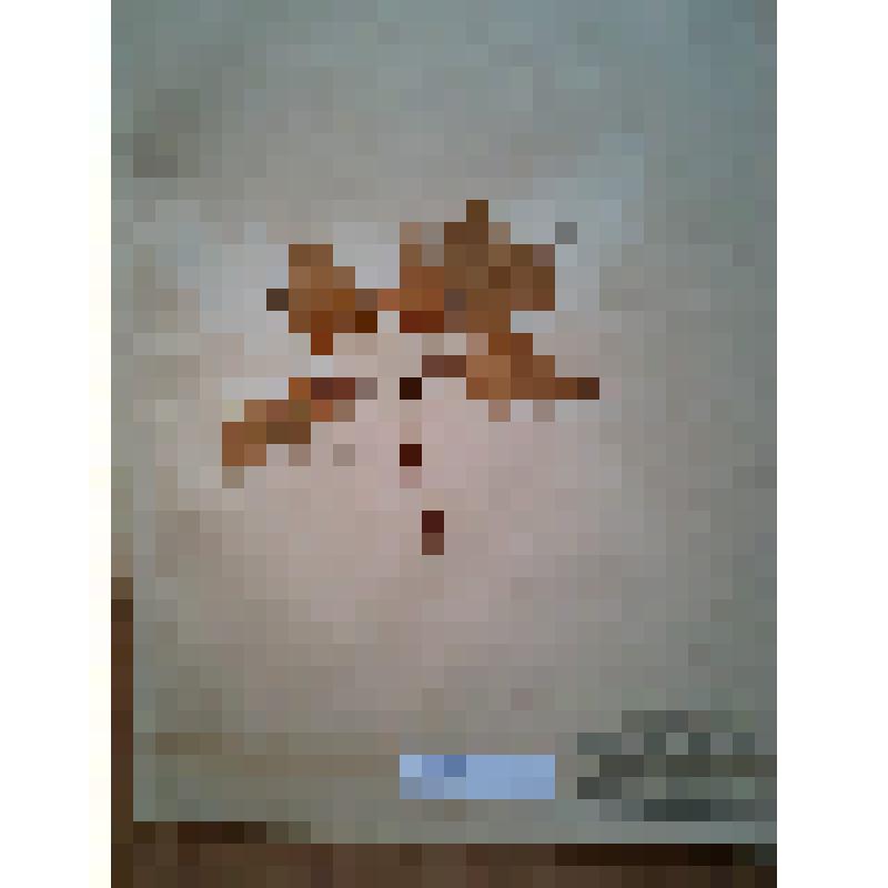 Гербарий, дурман вонючий