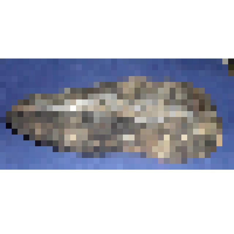 Туфля женская правая (чарка)