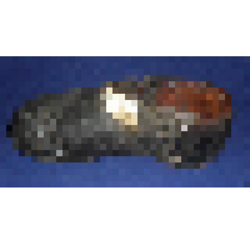 Туфля женская правая (чарка)