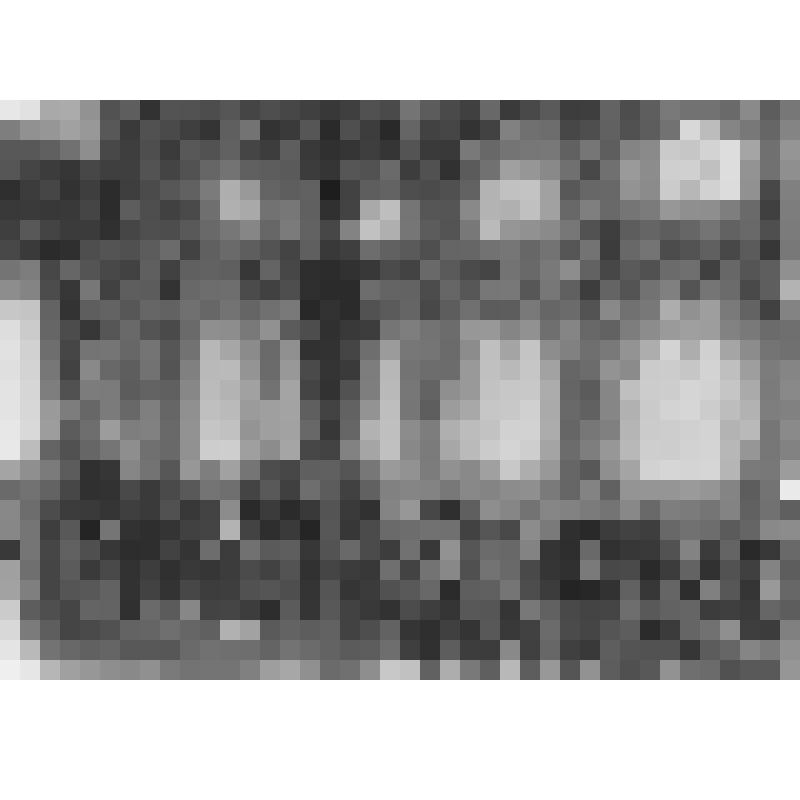 Большой дворец. Парадная лестница. Вид на юго-западный угол