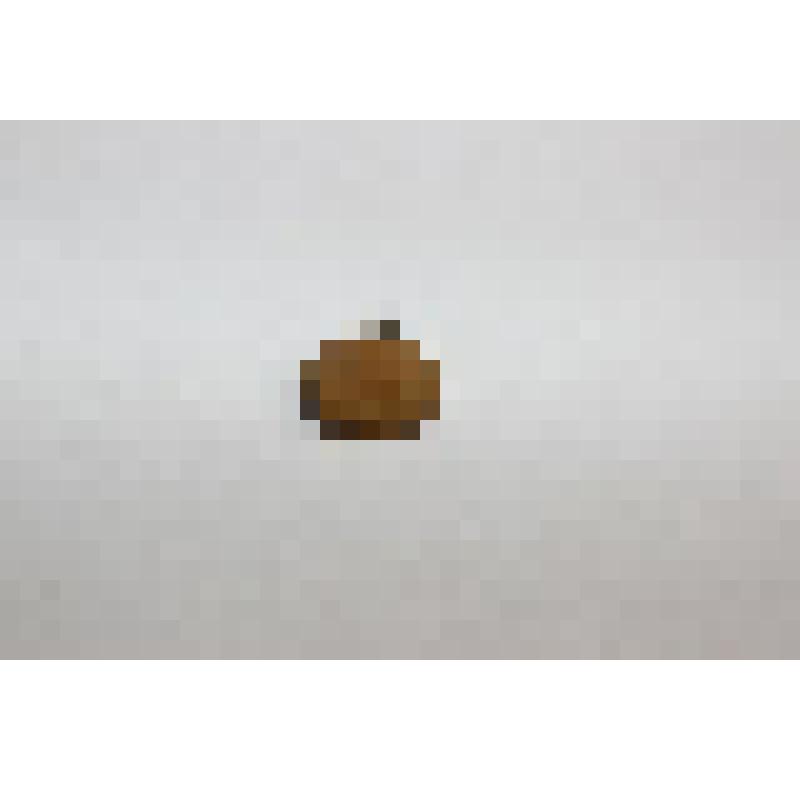 Отщеп