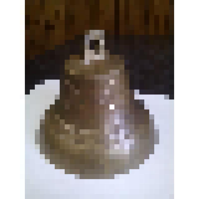 Колокол малый