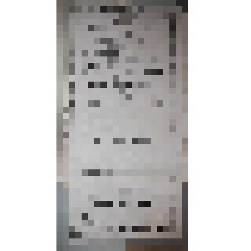 Афиша. Большое великолепное представление труппы А. Лачино в театре Лазаретного сада(«Модный магазин» и др.)