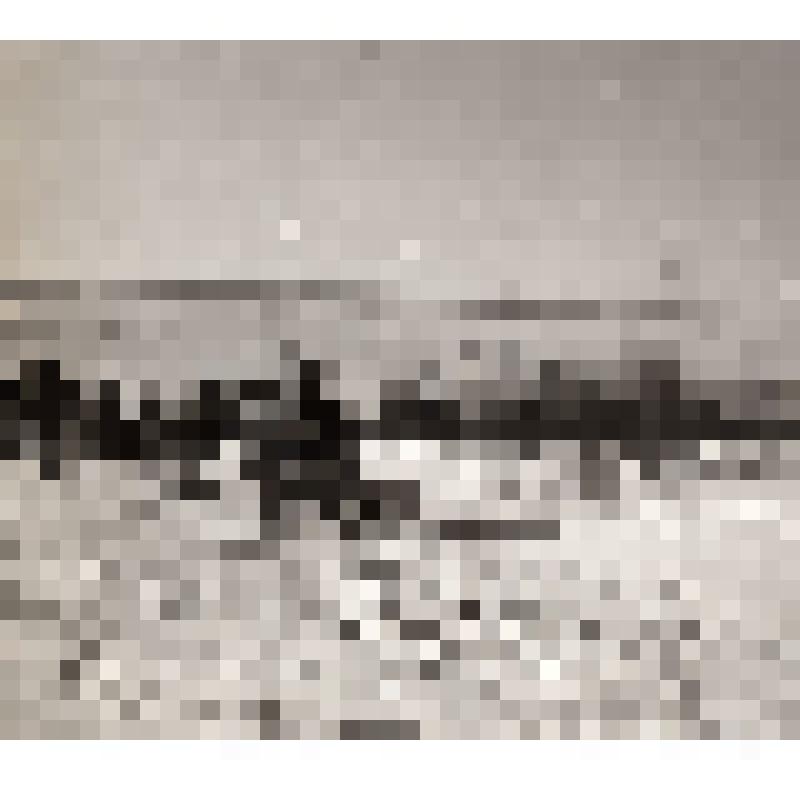 Фотография черно-белая. Похоронная процессия нганасан