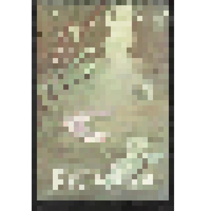 Афиша художественная. "Русалка". Казань, Татарский государственный театр оперы и балета имени Мусы Джалиля