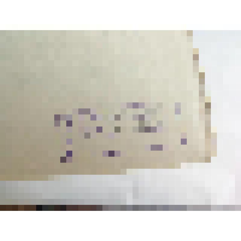 Плакат. Родословное дерево беспозвоночных животных. Из альбома наглядных пособий "Развитие жизни на Земле"