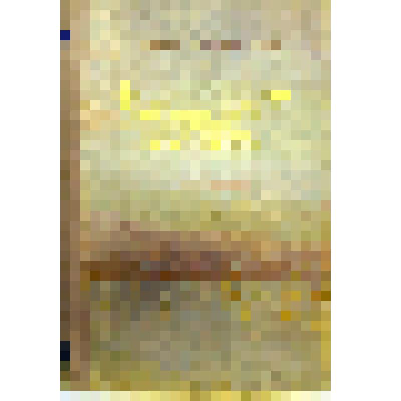 Книга. На капитанском мостике