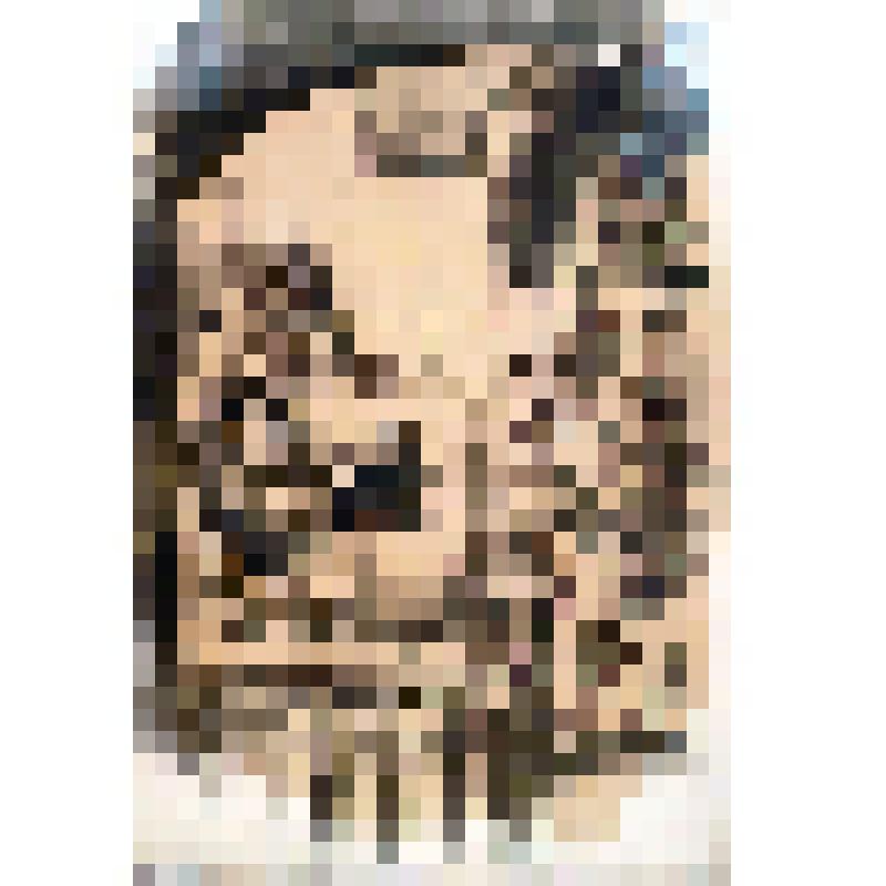 В.Гюго. Собор Парижской Богоматери. Иллюстрация. Суд над Квазимодо