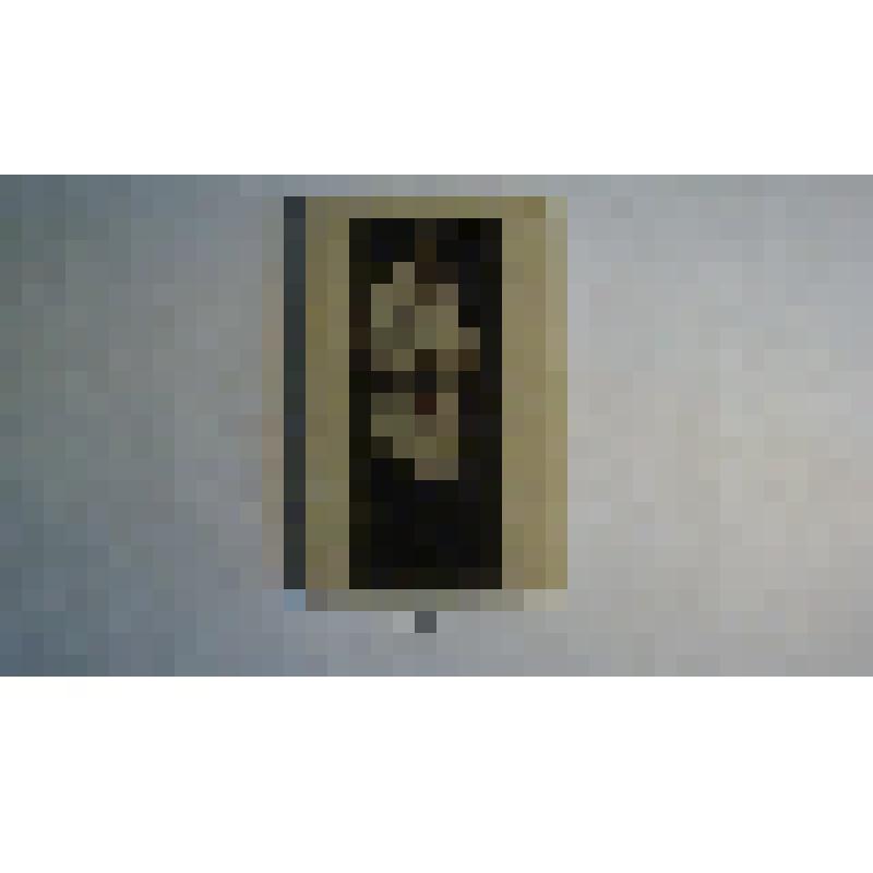 Репродукция с портрета И.Е.Репина "Лев НиколаевичТолстой босой" 1901г. на стекле