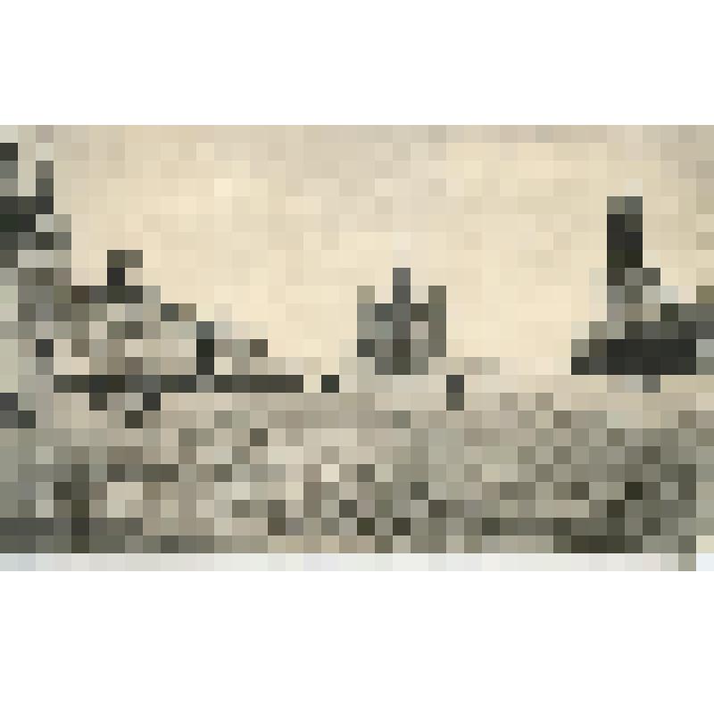 Открытка. Москва. Красная площадь