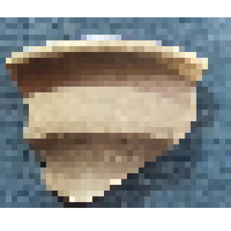 Фрагмент венчика станкового сосуда