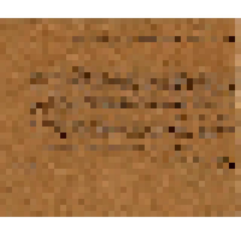 Забастовка рабочих типографии "Труженик" в Новгороде