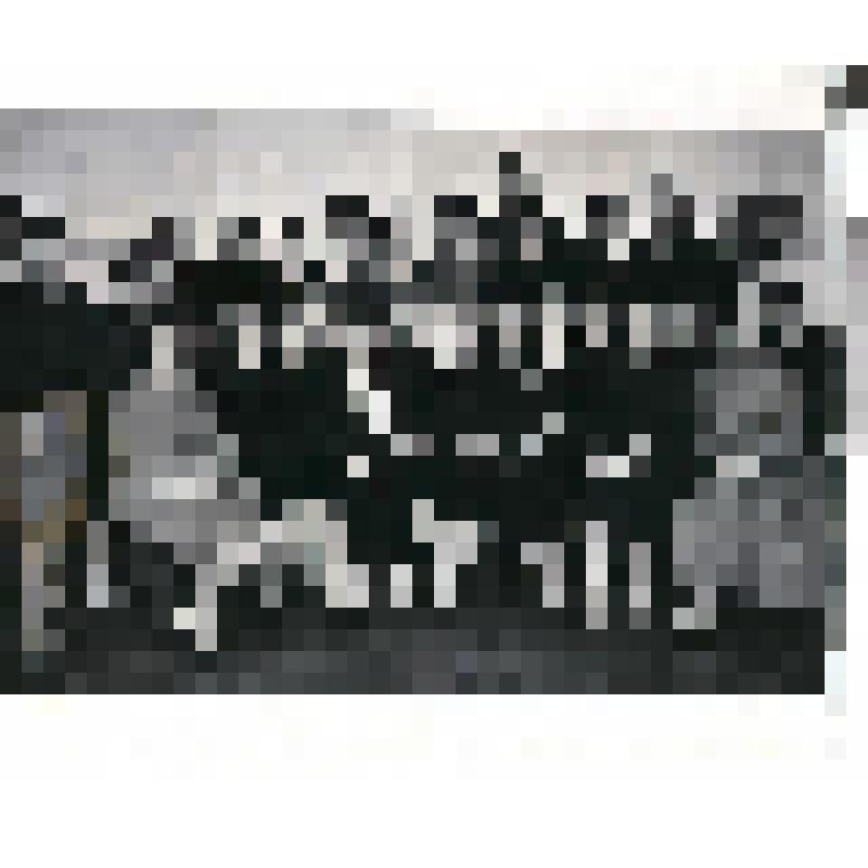 Фотография. Делегаты XXII-го съезда КПСС на встрече в редакции "Учительской газеты". Среди них Гладких Надежда Михайловна, директор средней школы № 1 г. Ялуторовска