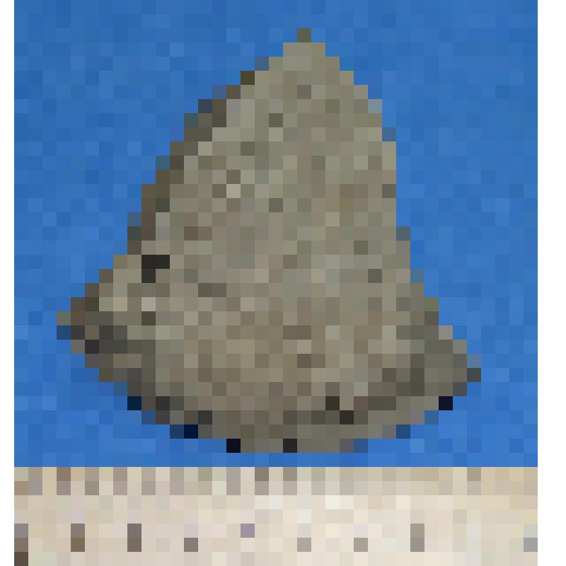 Дна сосуда кругового серого цвета фрагмент