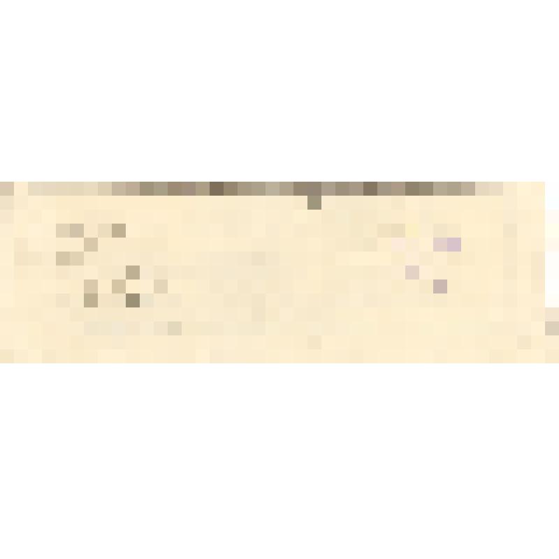 Квитанция Ярославской железной дороги о перевозке людей в Багратионовск 29 мая 1952 года