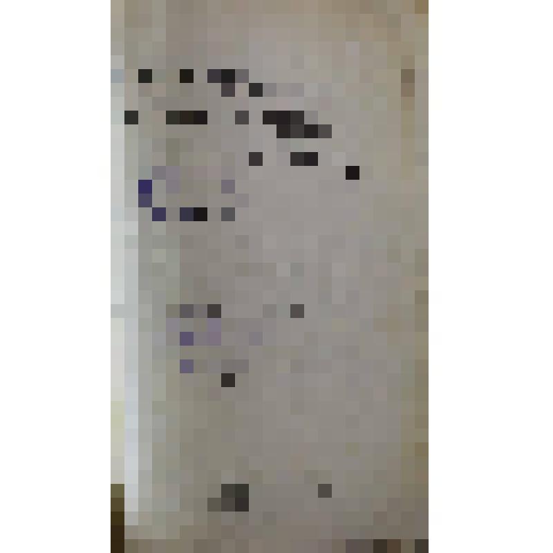 Хозяйственно-статистический обзор Уфимской губернии за 1908 год