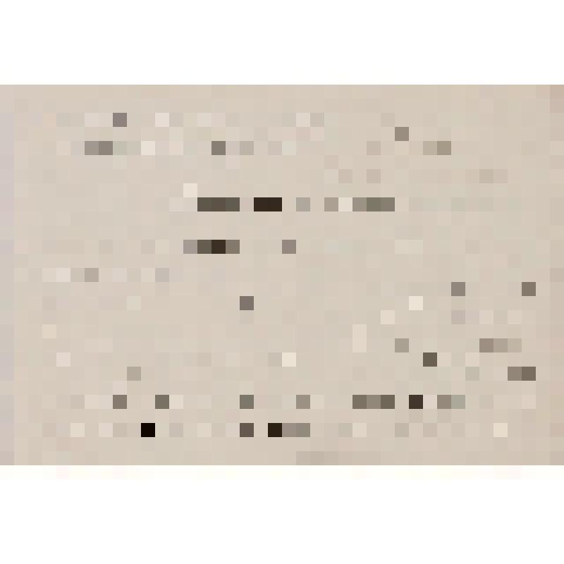 Ленский Александр Павлович (актер, режиссер). Письмо к Кондратьеву Алексею Михайловичу о сочинении нескольких строк к портрету Елены Константиновны [Лешковской]