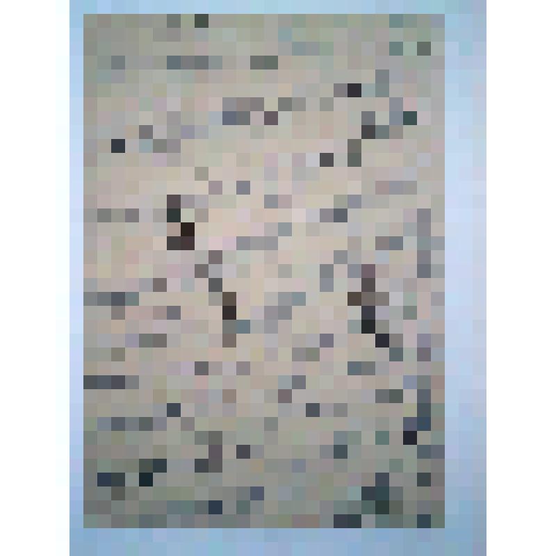 Письмо Иосифу (Осипу) Григорьевичу Белкину, Ольге Никитичне Белкиной