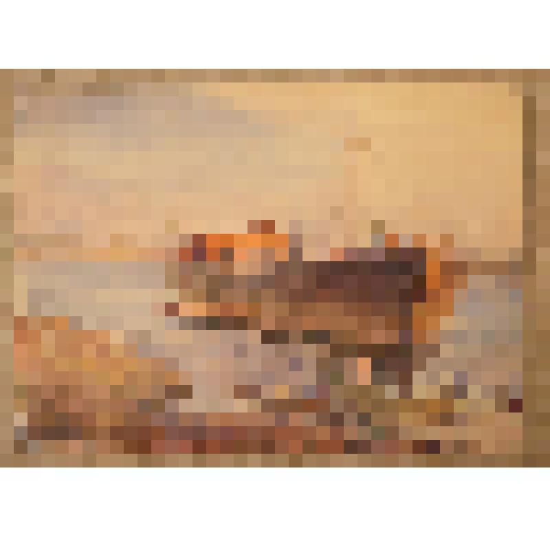 Рисунок. Баркас