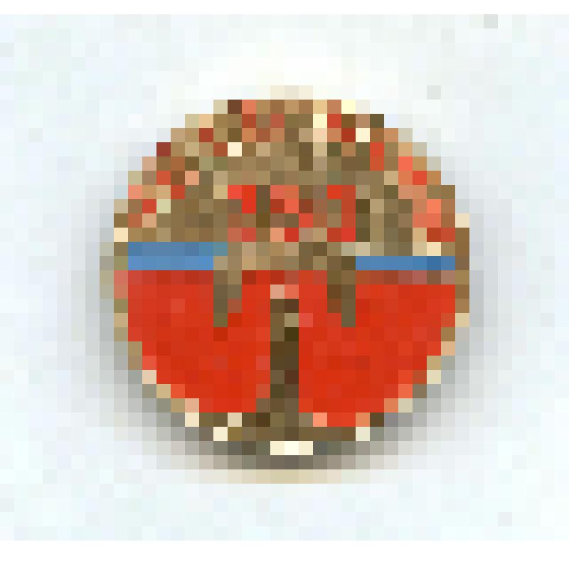 Значок "Россия-Якутия 350". Из коллекции значков Самсоновой К.П