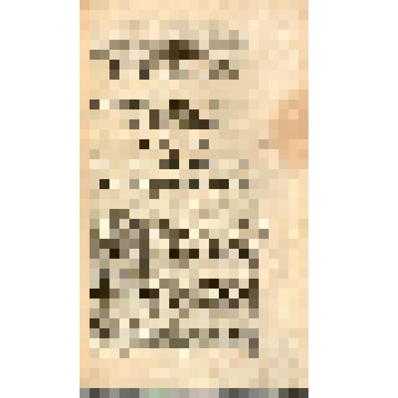 Книга. Nochfernünfftig gegründet- und auffgerichtete, in gewisse Classen eingetheilte, biβher verschlossen gelegen, nunmehr aber eröffnete Krieges-Schüle, [...]