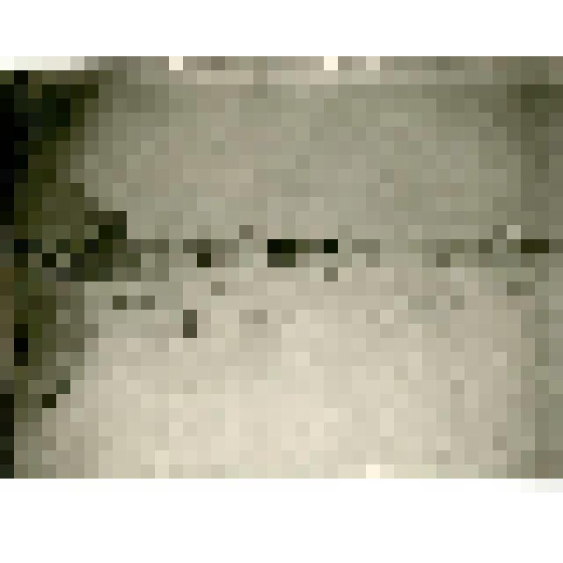 Фотография. Промышленники около Кюсюра