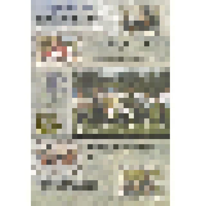 Буклет "Русалия народный ансамбль г. Бородино"