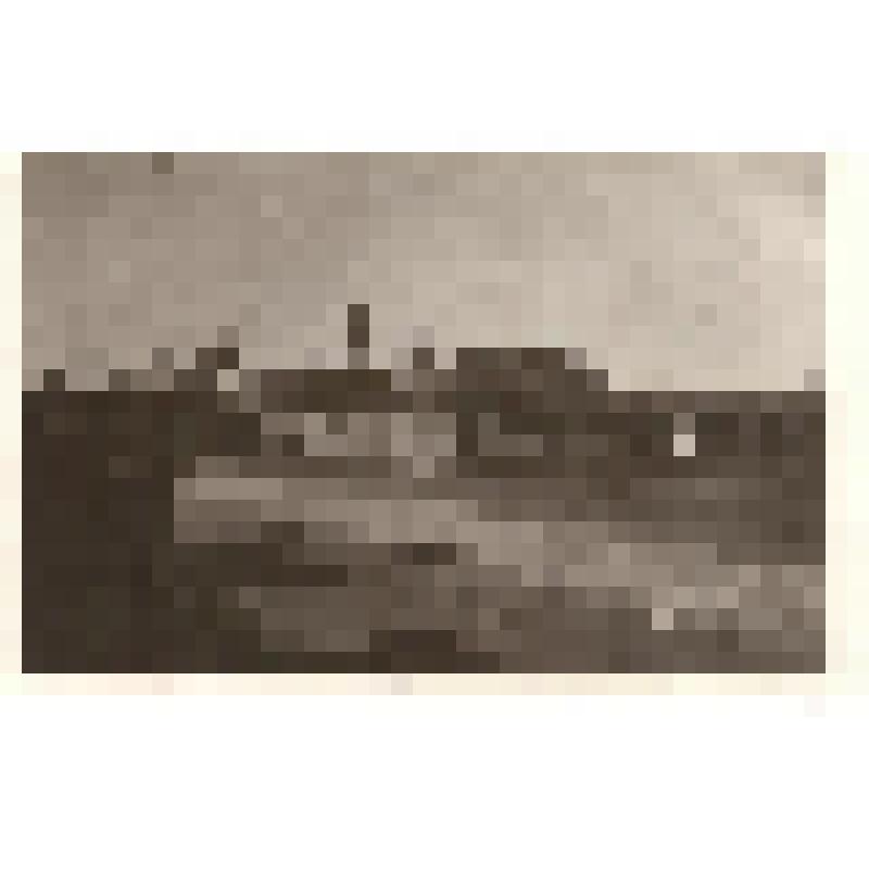 Фотография. Село Борское. Вид на Белую церковь с ул.Ленинградской. 1925г
