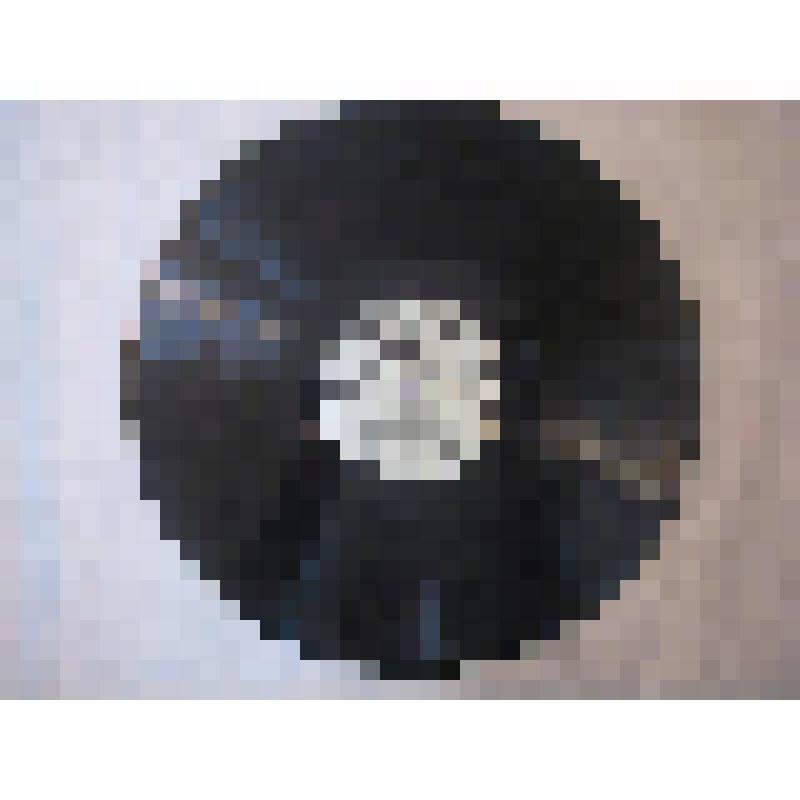 Грампластинка. Исполняют участники VI фестиваля