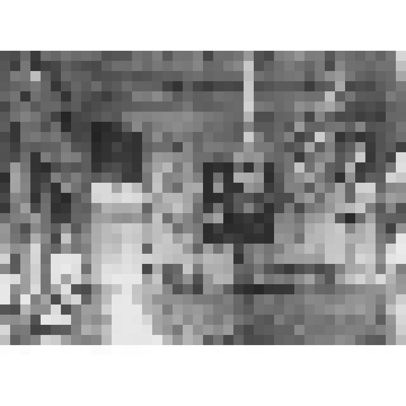 Большой дворец. Тронный зал. Северо-восточная сторона. 1920-е. Фотограф С.Г. Бамунер. Пересъемка