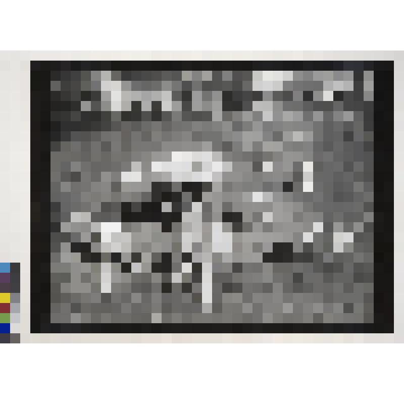 Дачный этюд