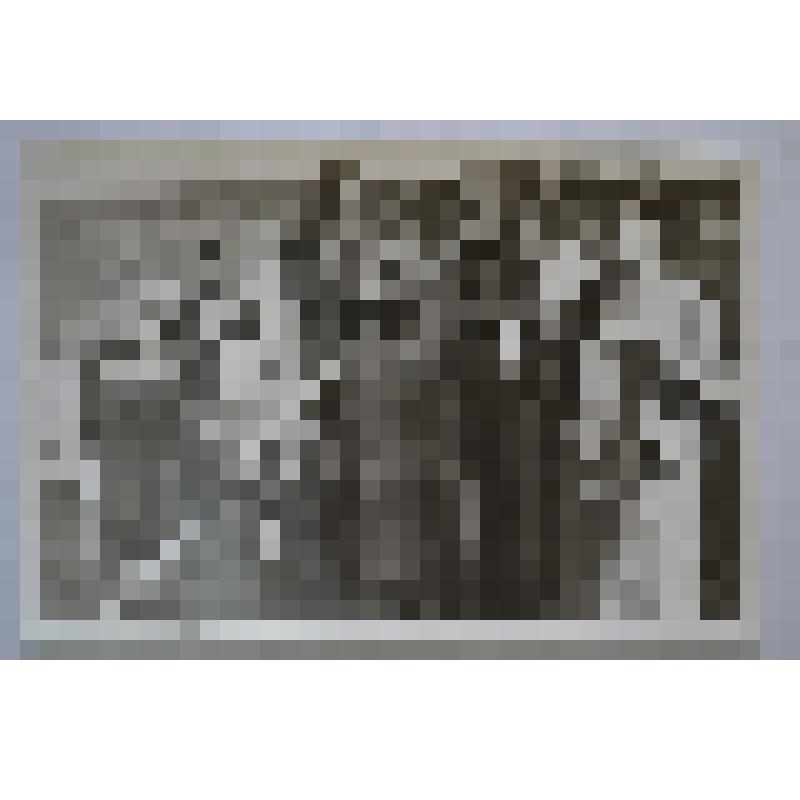 Фото. Сотрудники краеведческого музея на субботнике