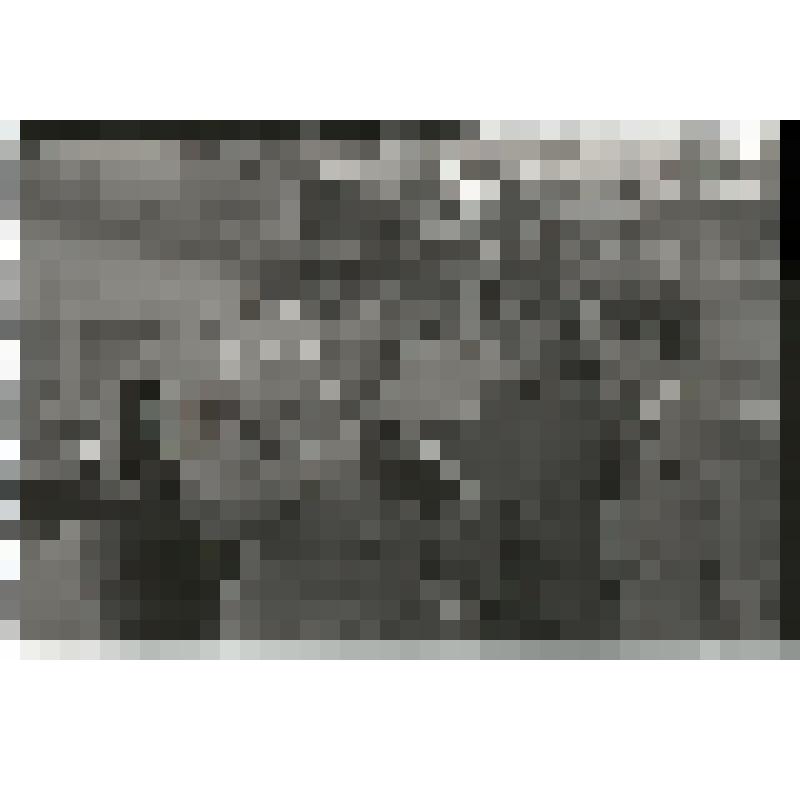 Негатив. Уралавтозавод. Новый образец "Урал-5557". Из коллекции негативов "Развитие сельского хозяйства и промышленности Челябинской области в 1982 году"