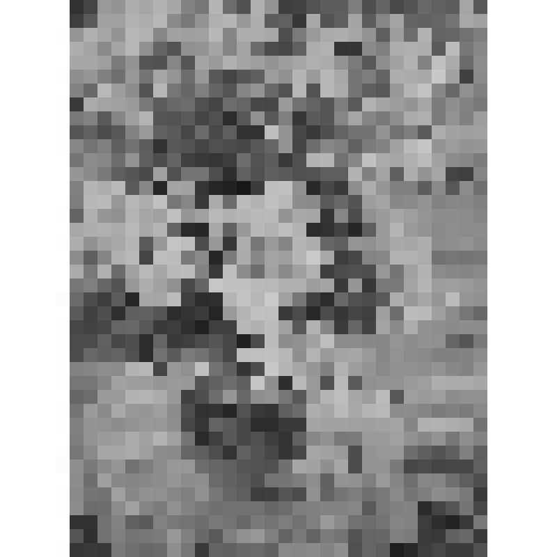 Работа акварельная. "Флоксы"