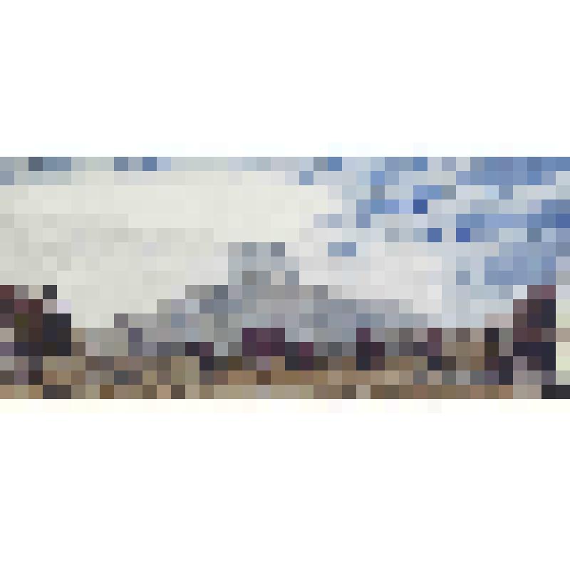 Кок-тепе-ели