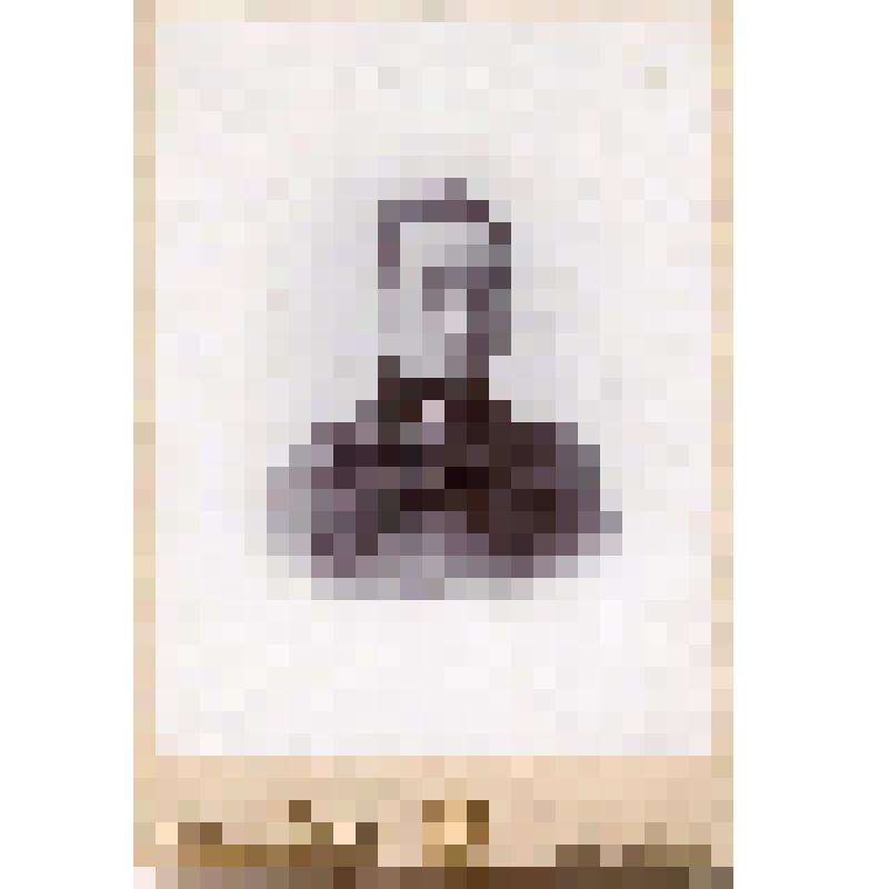 Фотография. Ольга Михайловна Порфирьева - племянница Н.А.  Добролюбова