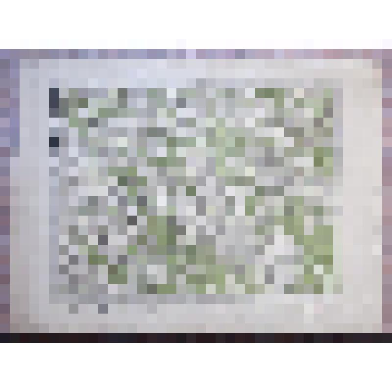 Специальная карта Европейской России (Десятивёрстка). Лист 15